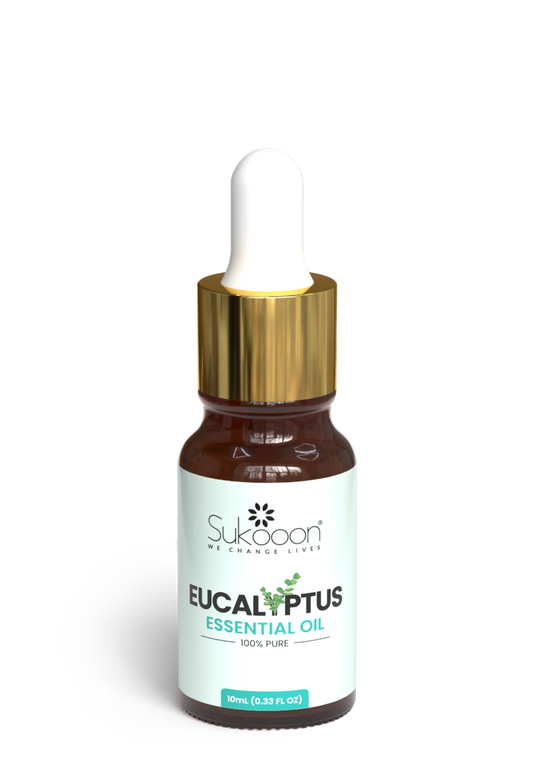 EUCLYPTUS | Pure Essential Oil